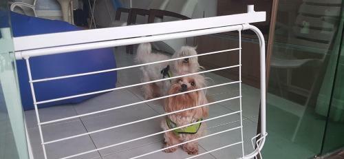 Apartamento Flat Porto De Galinhas