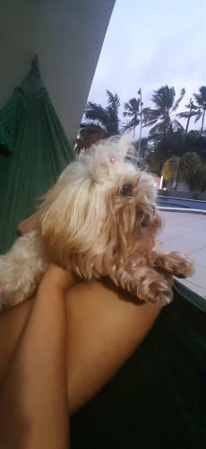 Apartamento Flat Porto De Galinhas