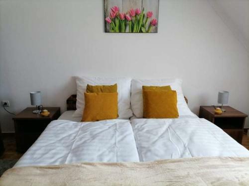 Hotel Aqua Oazis Apartman