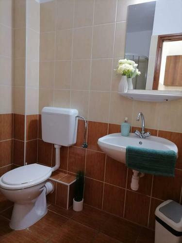 Hotel Aqua Oazis Apartman