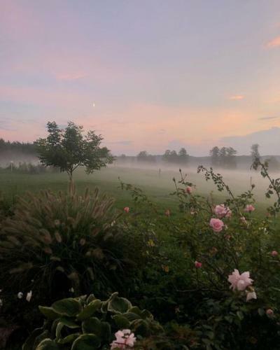 Hostal San Horses The Family