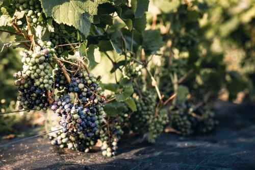 Agroturismo Pr?si?ki? Dvaras