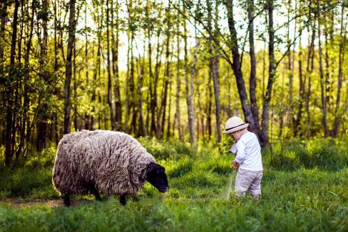 Agroturismo Pr?si?ki? Dvaras