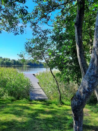 Apartamento Vila Saul?