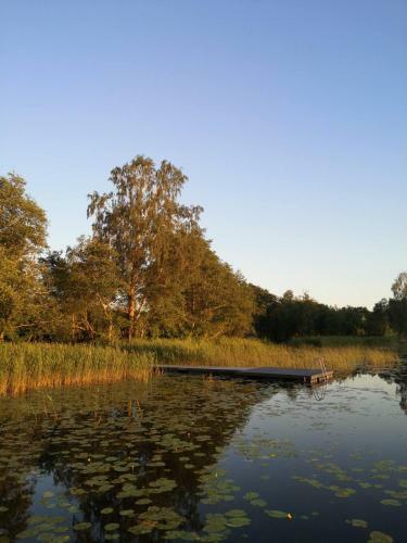 Apartamento Vila Saul?