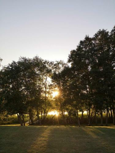 Apartamento Vila Saul?