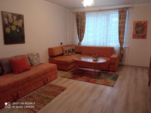 Apartamento Vieno Kambario Butas