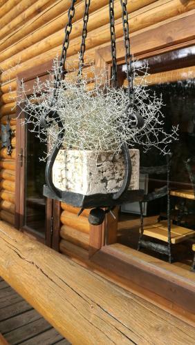 Hostal Sveciu Namelis