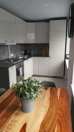 Siauliai Apartments - Vytauto