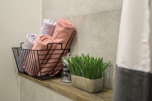 Downtown Apartment Rentals 2