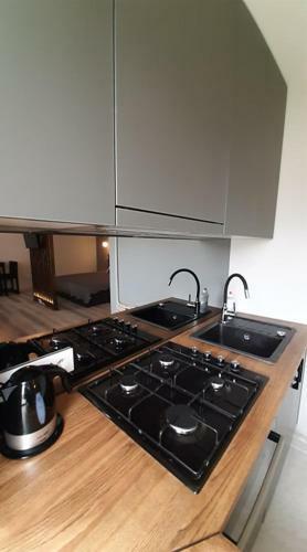 Jauk?s Apartamentai-studija, Centre