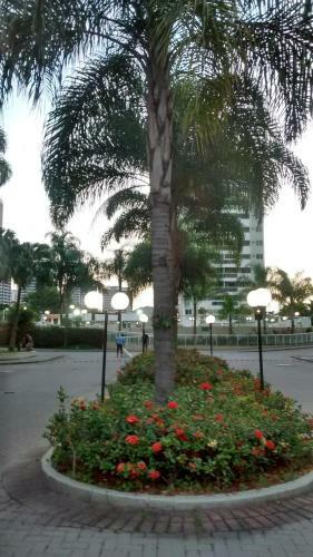 Apartamento Barra Central Park
