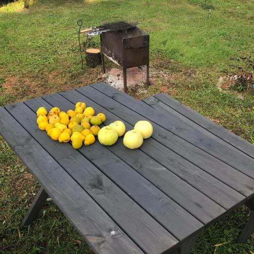 Skrunda Apartments Elandrum
