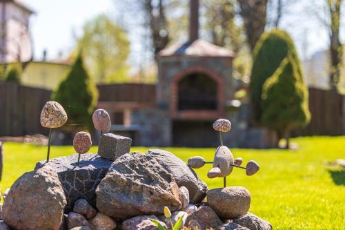 ?aliasis Kampas Nameliai ?ventojoje