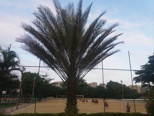 Apartamento Barra Duplex