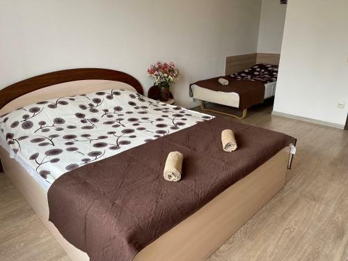 Apartament? Nuoma, Baltijos Perlas