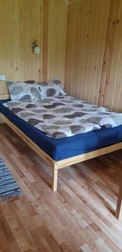 Kempings Lejasbisenieki