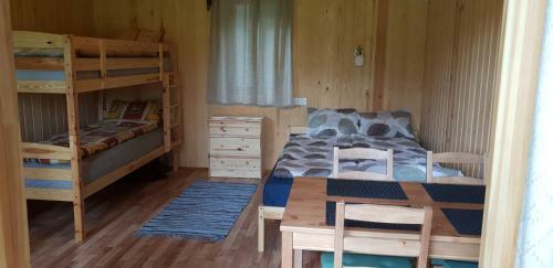 Kempings Lejasbisenieki