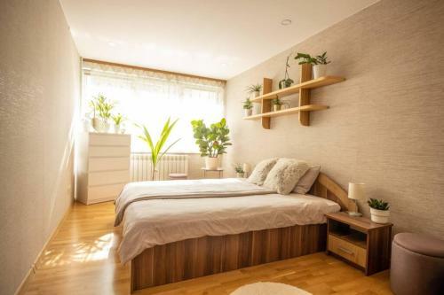 Beautiful & Spacious Apartment In Valmiera