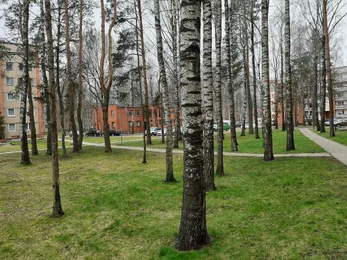 New Bright Stylish Apartment Near Riga