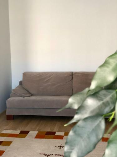 Minimalist And Welcoming Apartment With Balcony