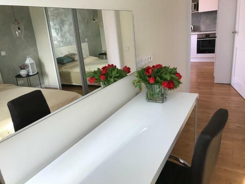 Villa Florance Apartments With Parking