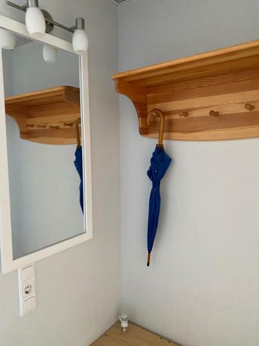 Apartamento M?j?gs Studio Tipa Dz?voklis J?ras Pils?t?.