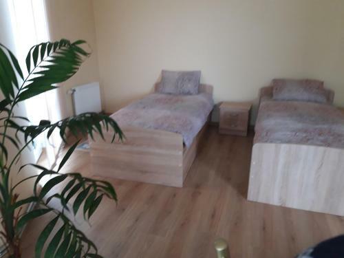 Hostal Viesu Nams Karpati