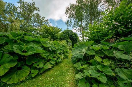 Agroturismo Huize Eigen Wijze