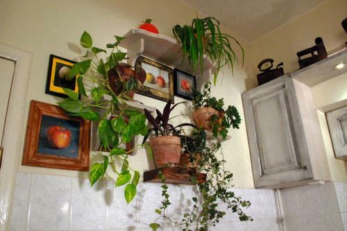 Apartamento Mini Home Vilnius Old Town