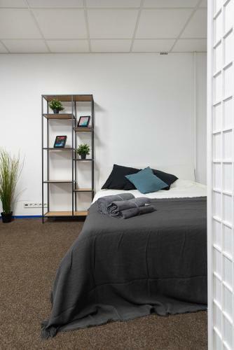 Albergue The House