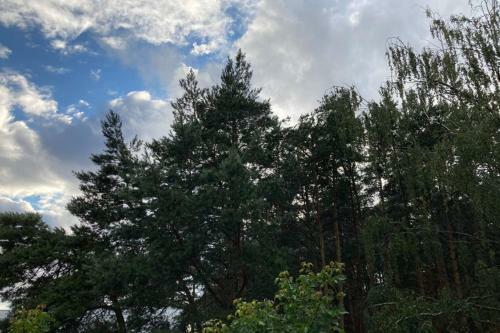 Lazdyneliu Apartamentai