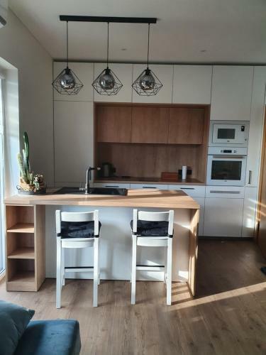 New Studio Apartment In ?v?rynas