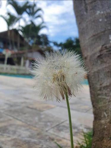 Hostal Recanto Da Paz Fyona