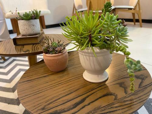 Apartamento Em Santa Teresa