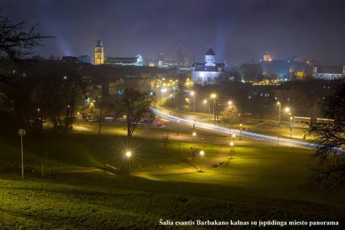 Mini Apartament By Town Hall, Self Chek-in