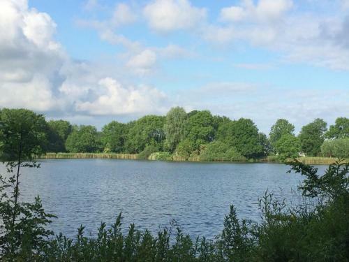 Detached Chalet With Beautiful Terrace, Near Alkmaar