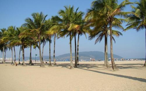 Apartamento Linda Cidade De Santos 505