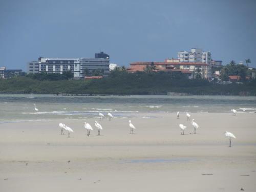 Casa Perfeita Para Suas F�rias
