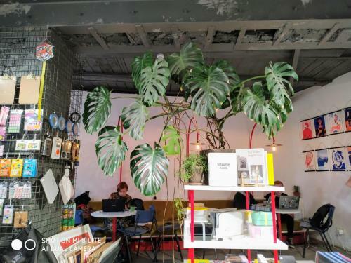 Apartamento Centrally Located Cosy Studio W/free Parking