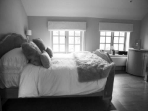 Hotel The Fuzzy Duck