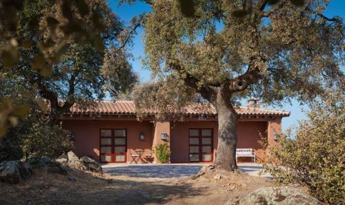 Lantero Horse & Lodge