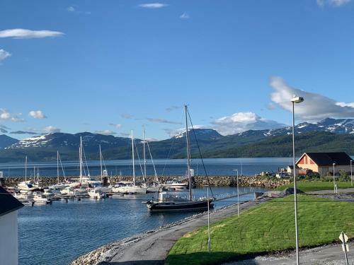 Villa I Nord-norge