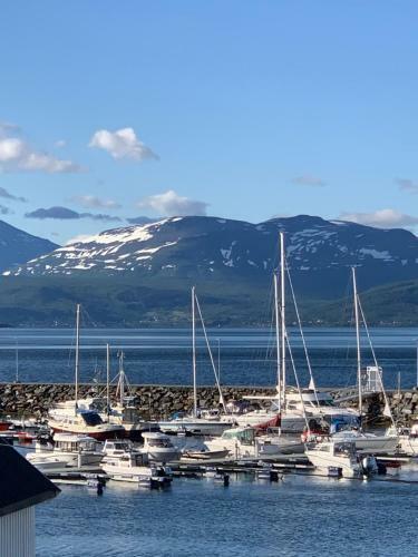 Villa I Nord-norge