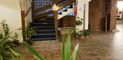 Bed & Breakfast Notabil Club Restaurant
