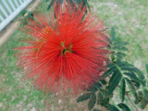 Chal�s Viver A Mantiqueira