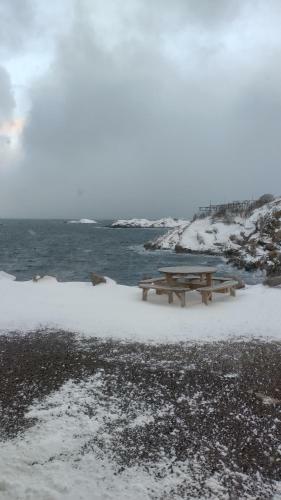 Gammelskola Apartments