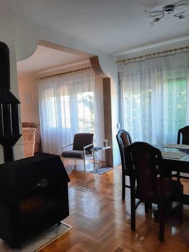 Vila Dragi?i?