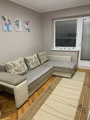 Apartman Djuric Paracin