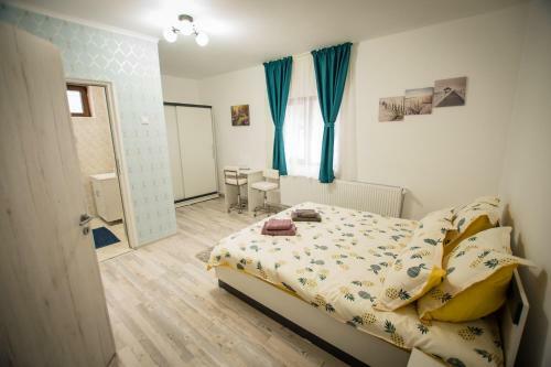 Stunning 5 Bed House In Campulung Moldovenesc